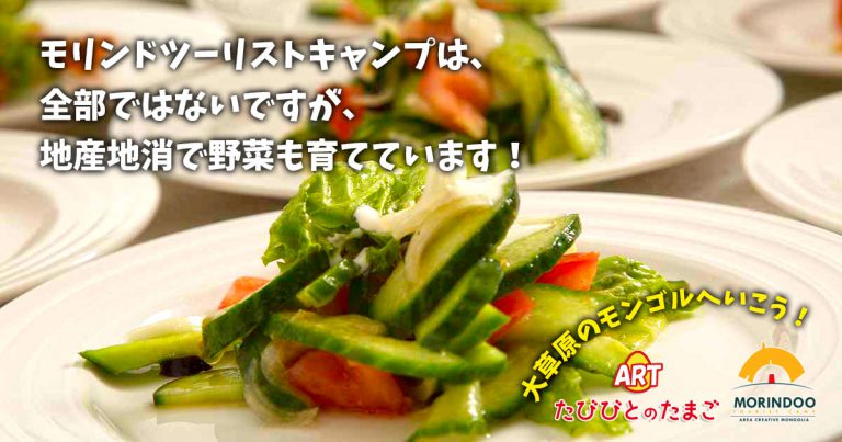 モリンドツーリストキャンプは、全部ではないですが、地産地消で野菜も育てています！