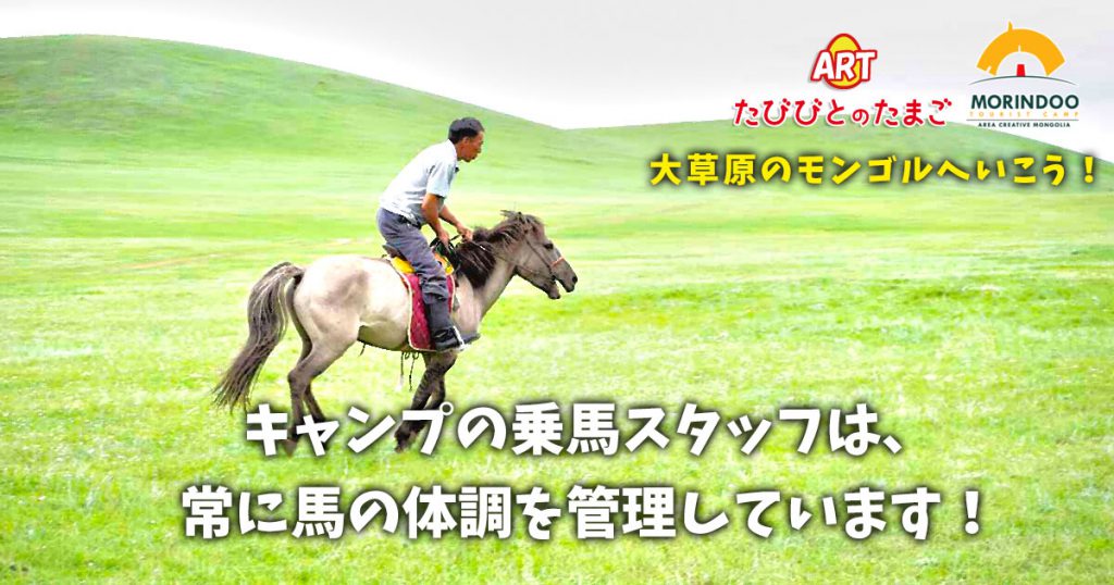 キャンプの乗馬スタッフは、常に馬の体調を管理しています！