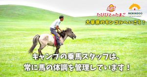 キャンプの乗馬スタッフは、常に馬の体調を管理しています！