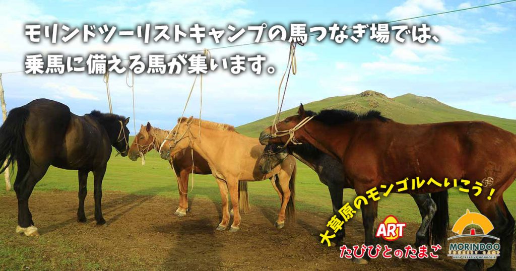 モリンドツーリストキャンプの馬つなぎ場では、乗馬に備える馬が集います。