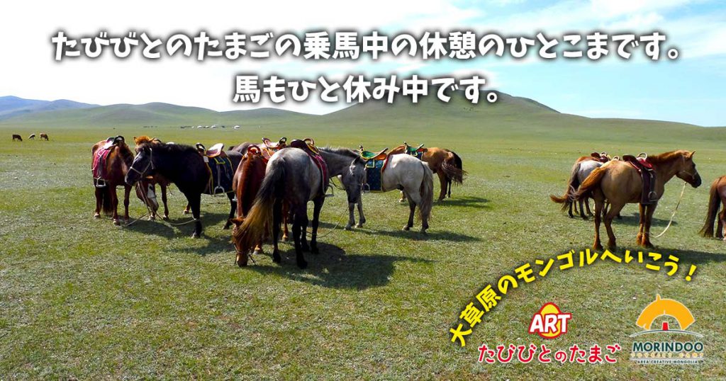 たびびとのたまごの乗馬中の休憩のひとこまです。馬も一休み中です。