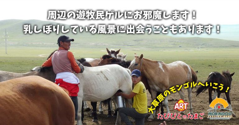 モリンドツーリストキャンプの周辺の遊牧民ゲルにお邪魔します！乳しぼりしている風景に出会うこともあります！