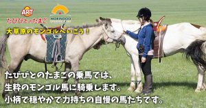 たびびとのたまごの乗馬では、生粋のモンゴル馬に騎乗します。小柄で穏やかで力持ちの自慢の馬たちです。