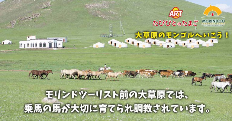 モリンドツーリスト前の大草原では、乗馬の馬が大切に育てられ調教されています。